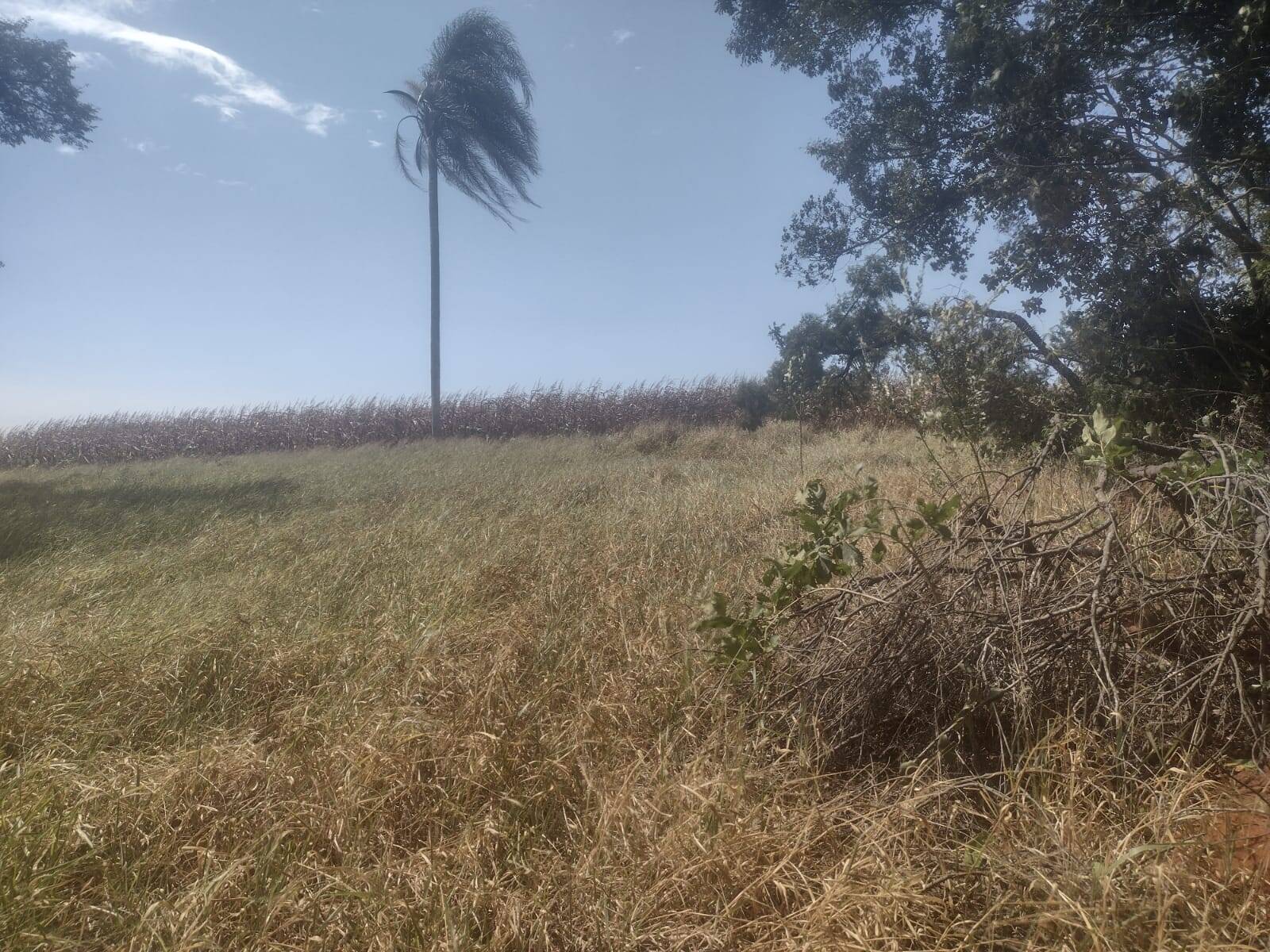 #TR997 - Terreno para Venda em Atibaia - SP