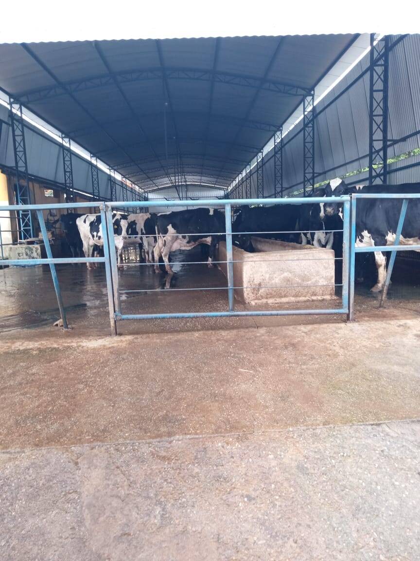 #FZ1230 - Fazenda para Venda em Pouso Alegre - MG