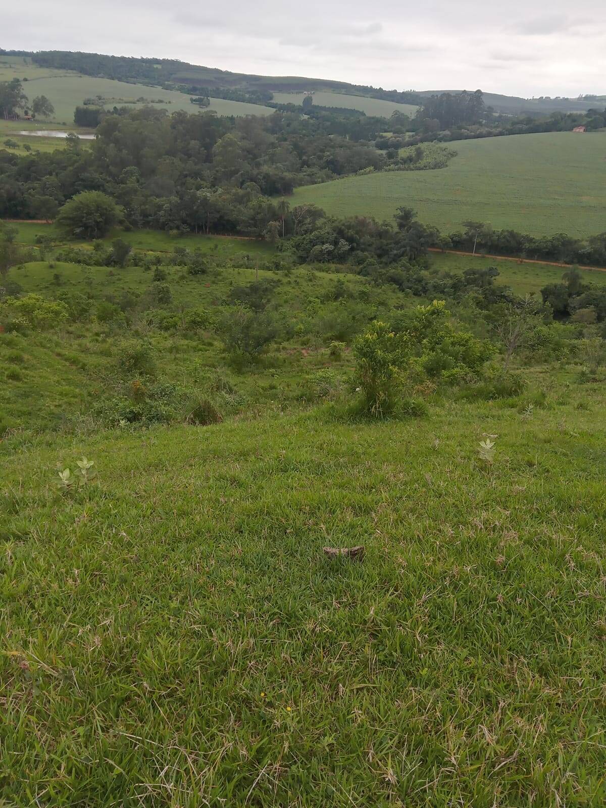 #ST1258 - Sítio para Venda em Tatuí - SP