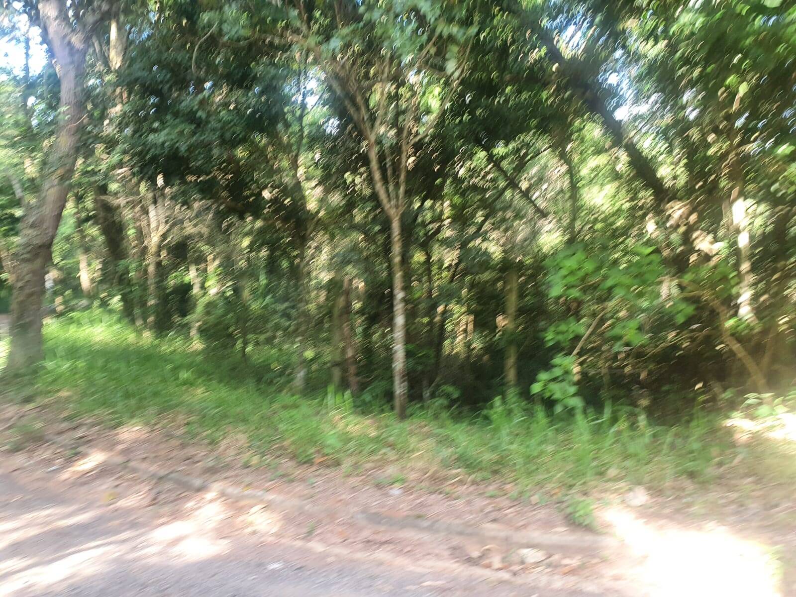 #TR1309 - Terreno para Venda em Atibaia - SP