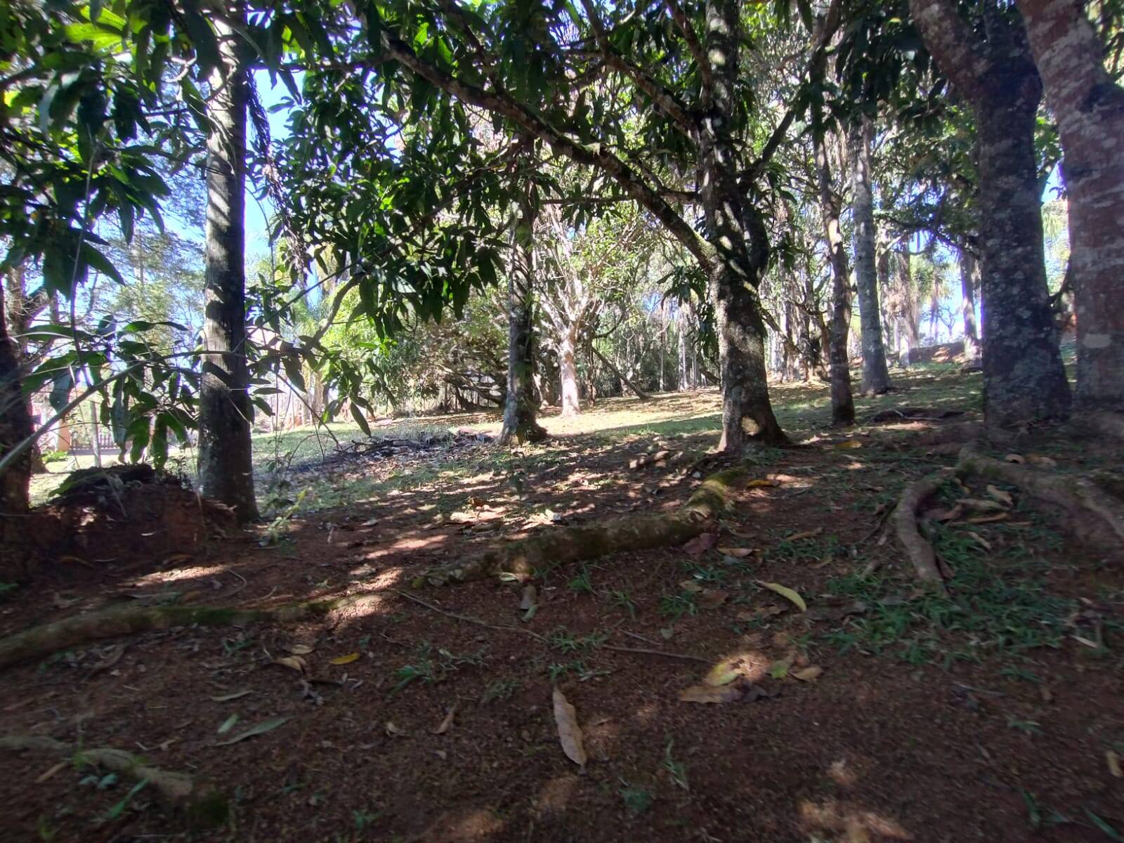 #tr1423 - Área para Venda em Atibaia - SP