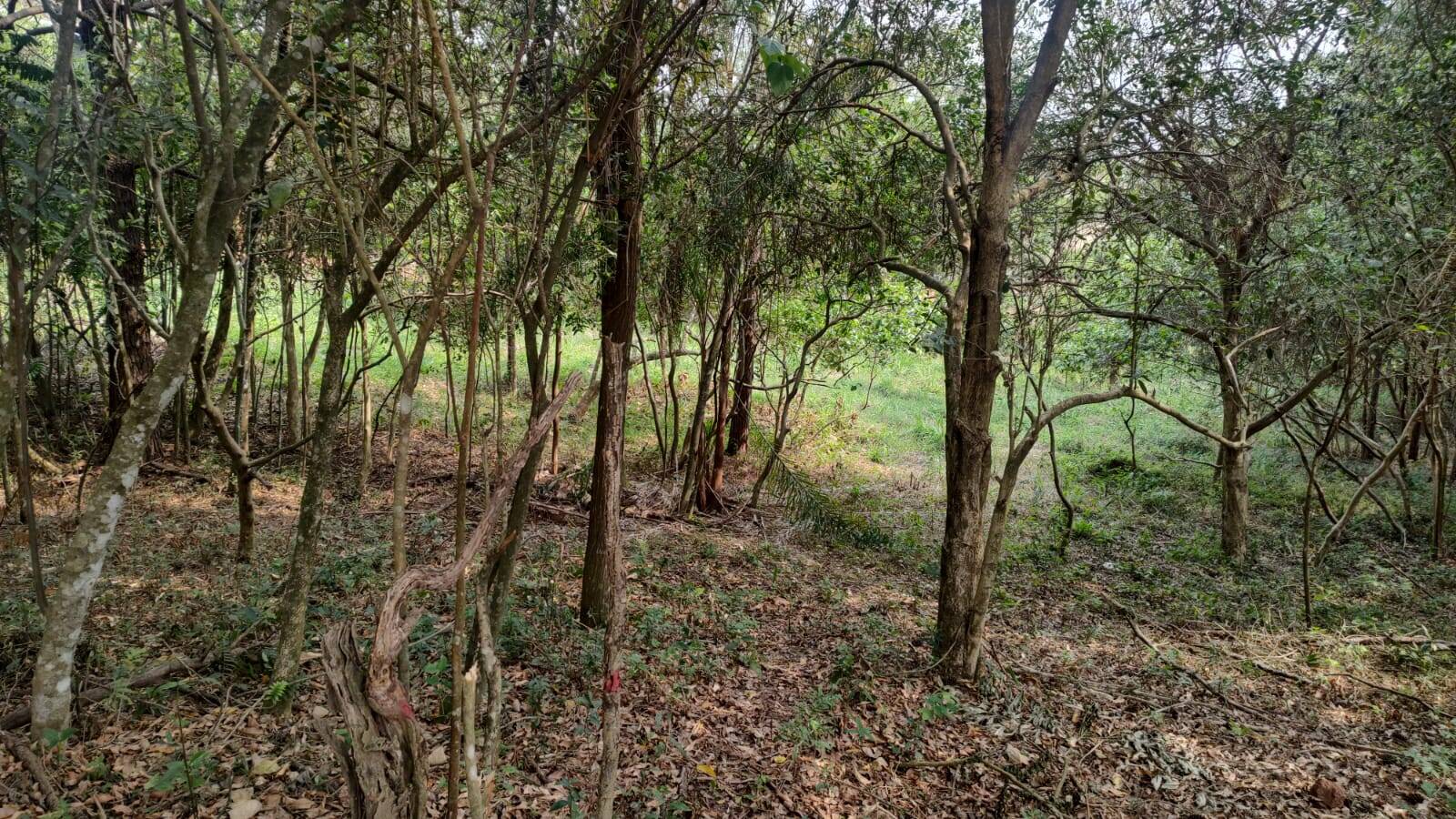 #TR1471 - Terreno para Venda em Atibaia - SP