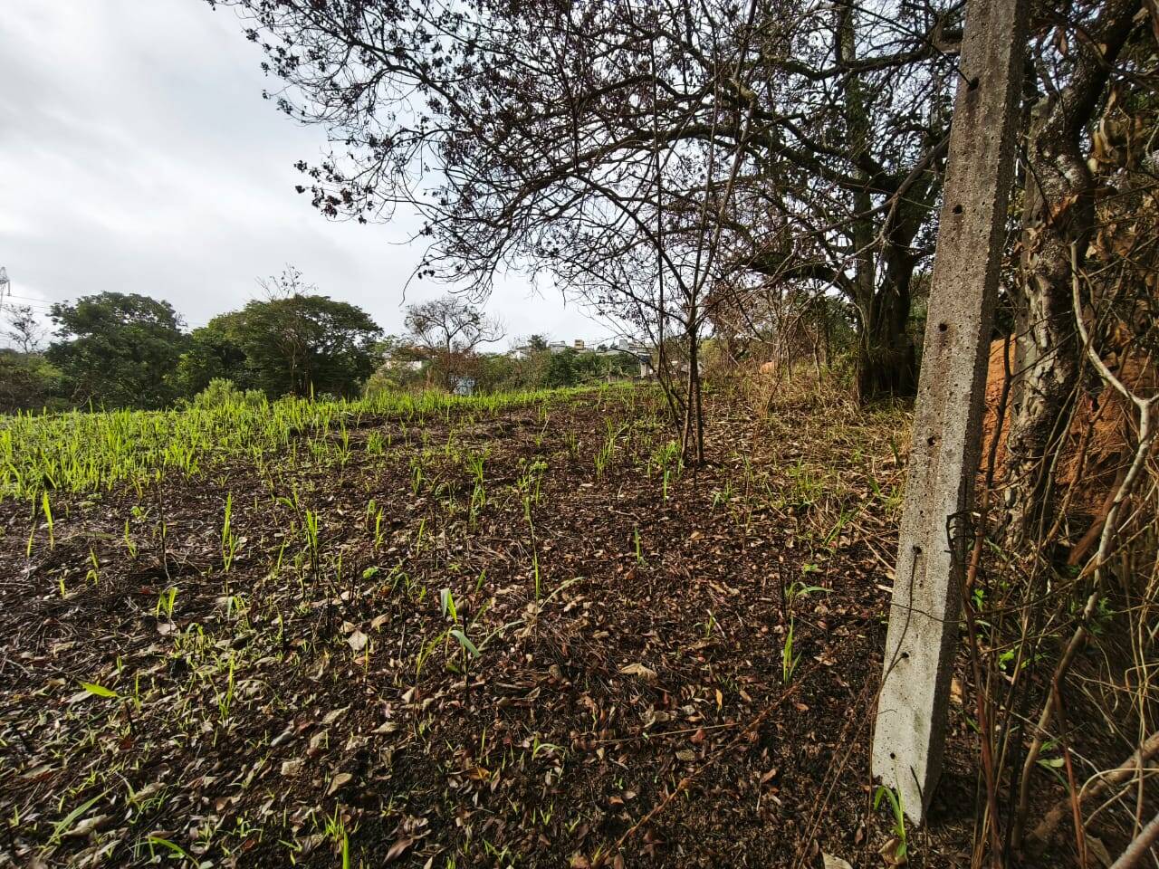 #TR/1672 - Terreno para Venda em Mairiporã - SP