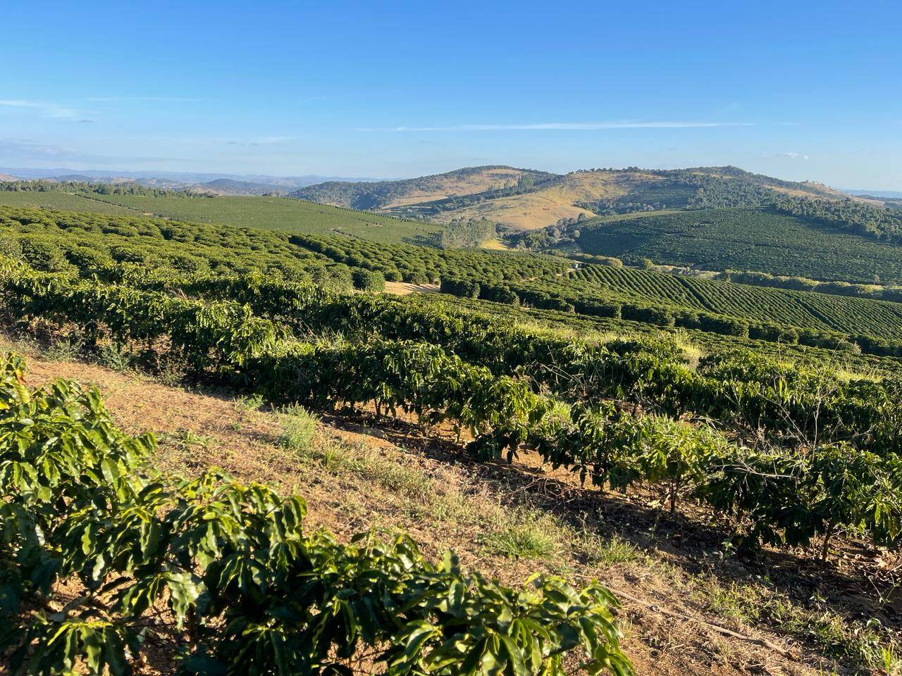 #FZ1700 - Fazenda para Venda em Unaí - MG