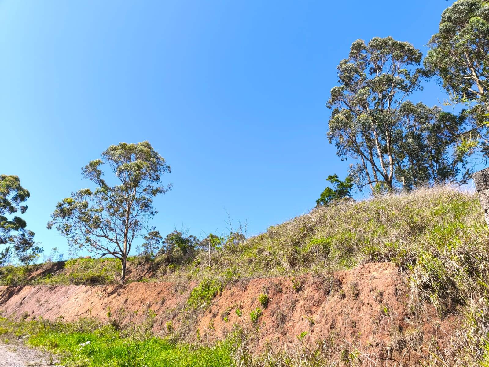 #TR1790 - Área para Venda em Mairiporã - SP