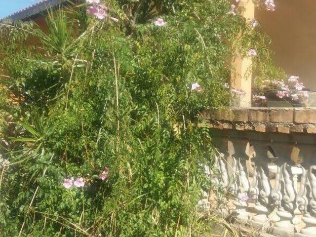 Chácara para Venda em Bragança Paulista - 3