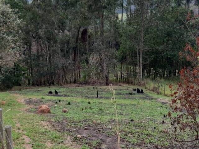 Terreno para Venda em Atibaia - 2