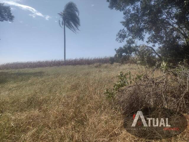 Venda em USINA - Atibaia