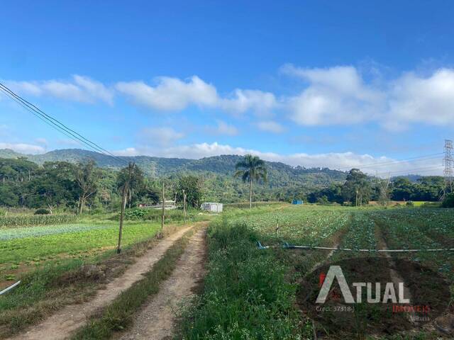 Terreno para Venda em Suzano - 2