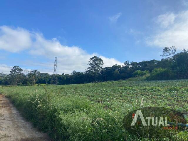 Terreno para Venda em Suzano - 3