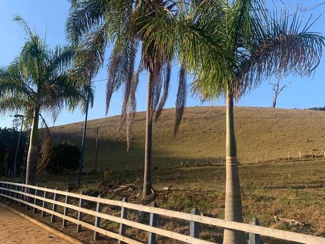 #FZ1259 - Fazenda para Venda em Piranguinho - MG - 1