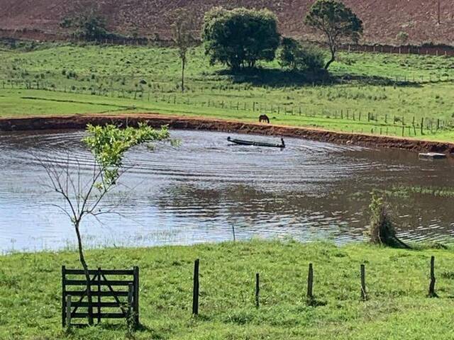 Fazenda para Venda em Piranguinho - 4