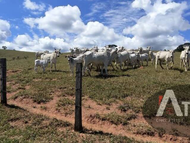 Sítio para Venda em Piracaia - 4