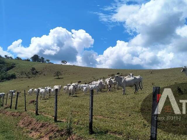 Sítio para Venda em Piracaia - 3