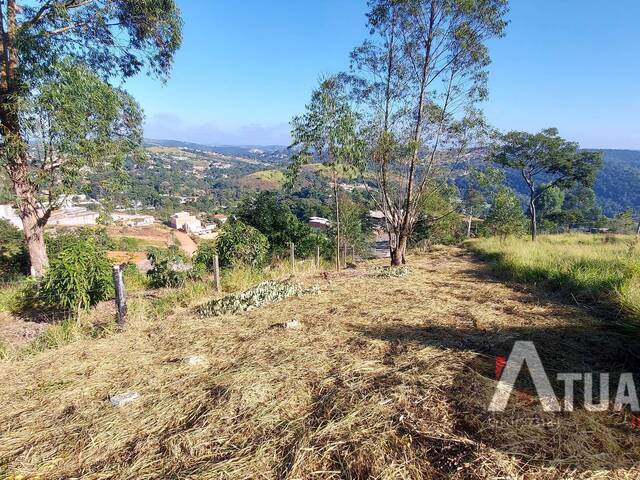 Venda em Jundiaizinho (Terra Preta) - Mairiporã
