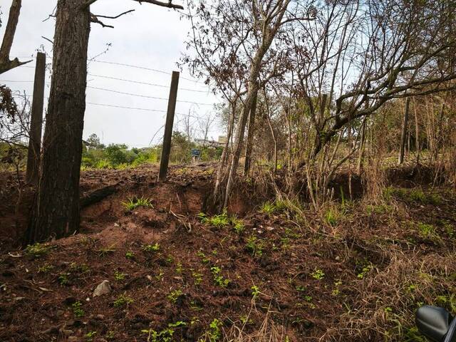 Terreno para Venda em Mairiporã - 3