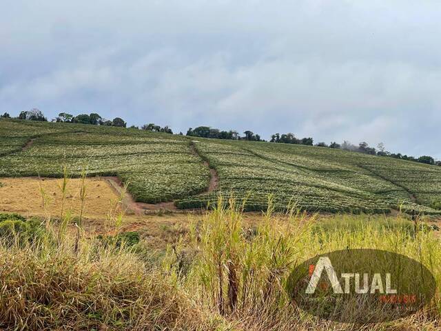 Fazenda para Venda em Unaí - 4