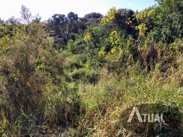 #TR1713 - Terreno para Venda em Atibaia - SP - 3