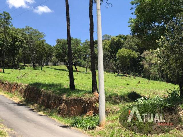 #TR1729 - Área para Venda em Atibaia - SP - 3