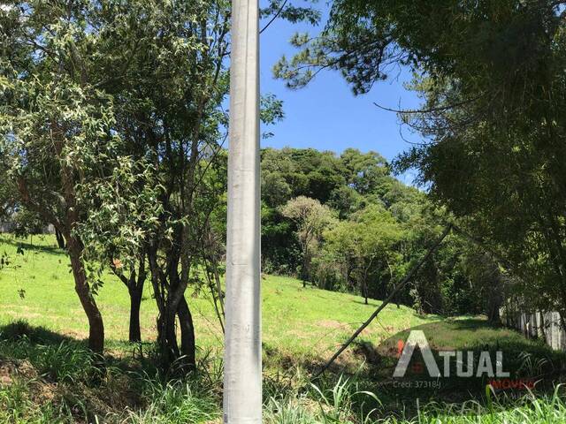 #TR1729 - Área para Venda em Atibaia - SP - 2