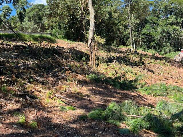 Terreno para Venda em Atibaia - 4