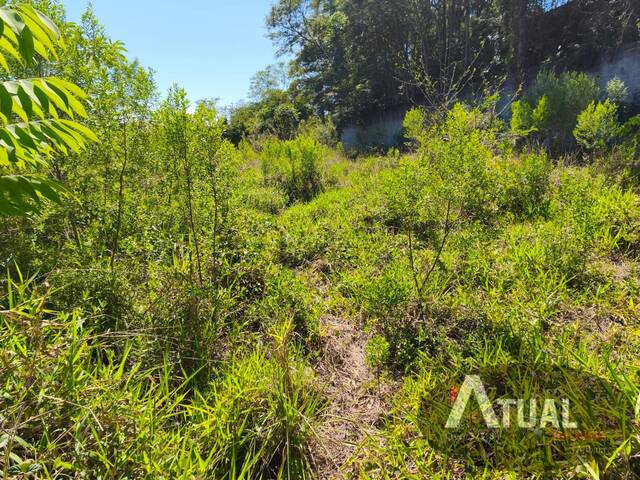 Área para Venda em Mairiporã - 3