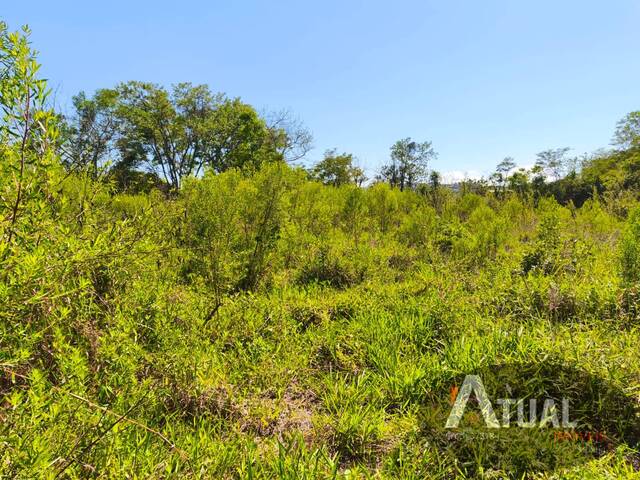 Área para Venda em Mairiporã - 4