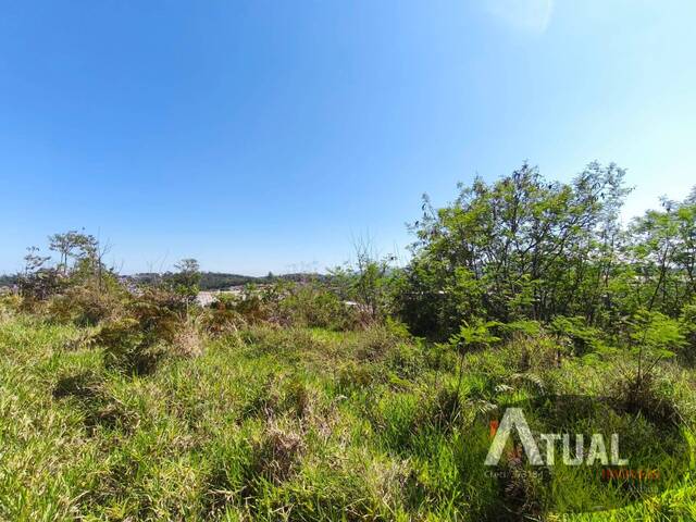 Área para Venda em Mairiporã - 5