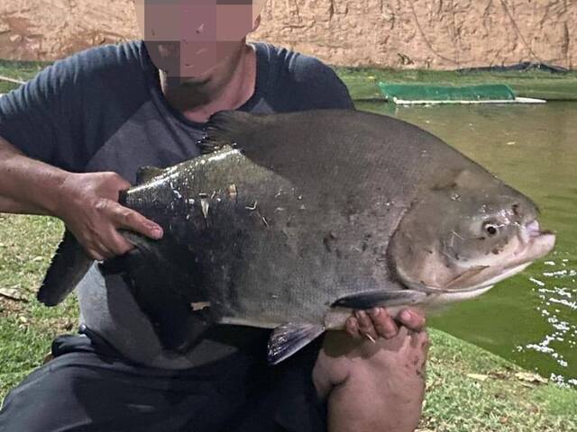 Casa para Venda em Atibaia - 4