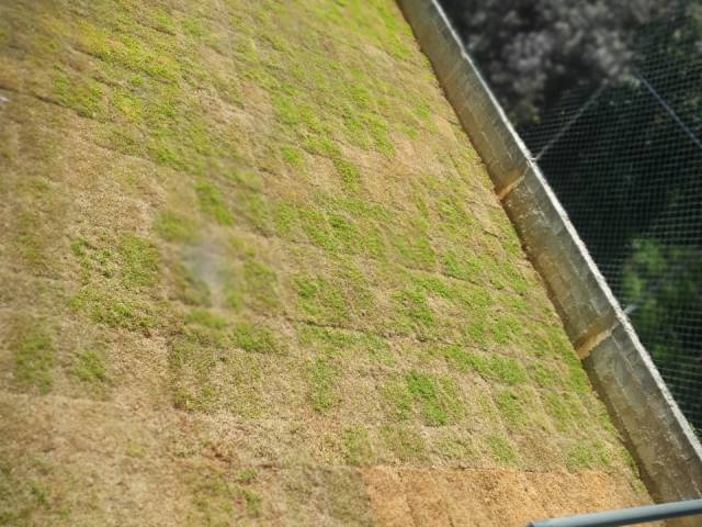 Casa para Venda em Mairiporã - 5