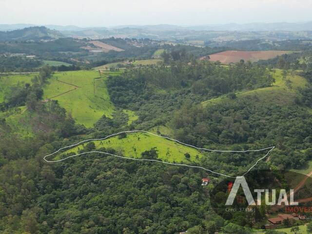 Terreno para Venda em Pinhalzinho - 2