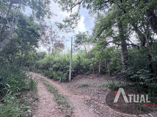 Terreno para Venda em Pinhalzinho - 3