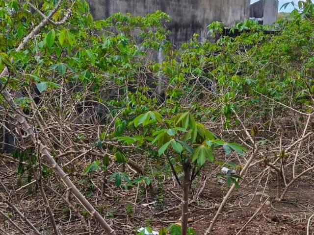 #TR1984 - Terreno para Venda em Atibaia - SP - 3